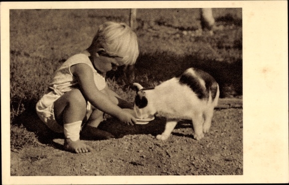 Postcard Vienna 9. Alsergrund, Austrian Animal Welfare Association, Sensengasse 5, child, cat