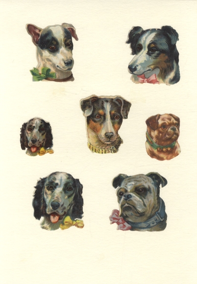 7 waflowych głów psów o wymiarach ok. 6 x 5 cm i 4 x 4 cm