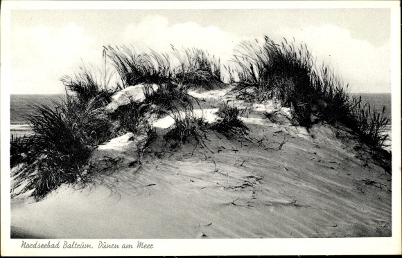 Ak Baltrum, duinen aan zee
