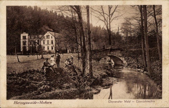 Postcard Herzogswalde Mohorn Wilsdruff Saxony, Tharandter Wald, Tännichtmühle