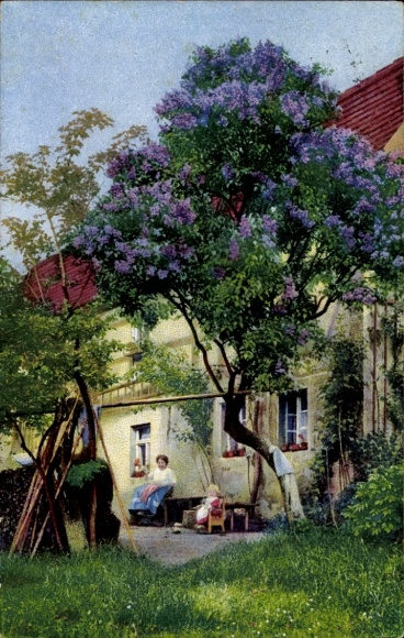 Postcard Nenke & Ostermaier Series 251 No. 3989, Lilac, Lilac, Helfenberg