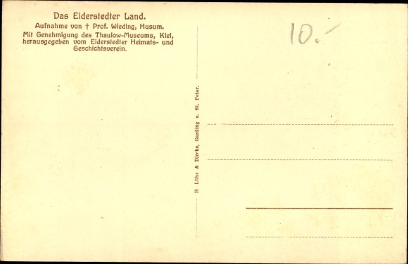 Ak Tating in Noord-Friesland, Eiderstedter Land, Hauberg