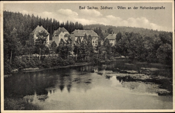 KP Bad Sachsa w górach Harz, wille przy Hohenbergstraße, powierzchnia wody, drzewa