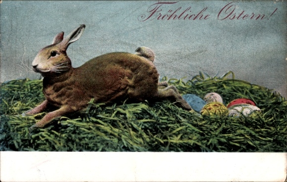 Ak Glückwunsch Ostern, Hase, Ostereier