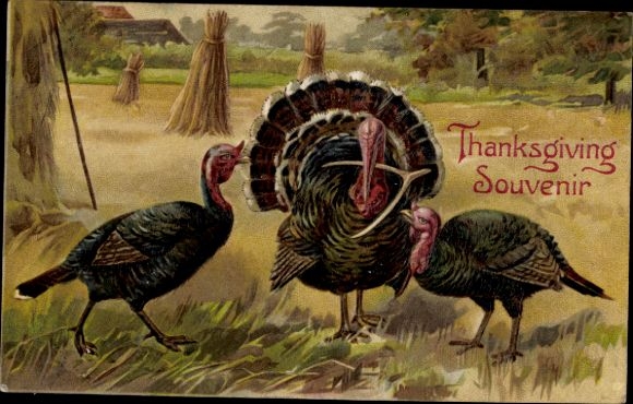 Präge Ak Glückwunsch Thanksgiving, Truthühner