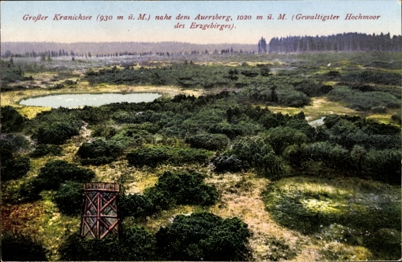 Postcard Carlsfeld Eibenstock in the Ore Mountains, Great Kranichsee, raised bog