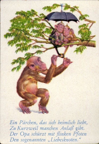 Collector's picture funny pictures No. 33, Orangutan knots the tails of a couple in love