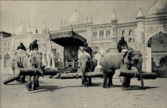 Ak Gustav Hagenbeck's größte indische Völkerschau der Welt, Elefanten