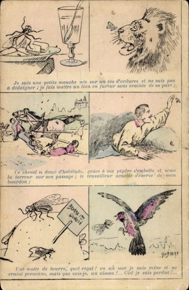 Artist Postcard story, fly, sugar, lion, fable