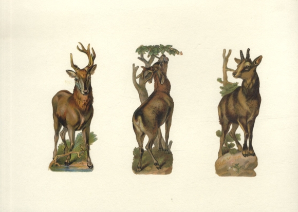 3 wafers deer, roe deer, ibex, each approx. 12.5 x 5 cm