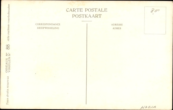 Artist Postcard Dupond, Hub., Xema sabini, Swallow Gull