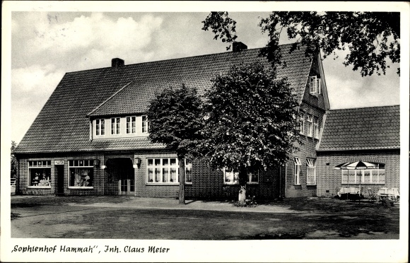 Postcard Hammah Niedersachsen, Sophienhof Hammah