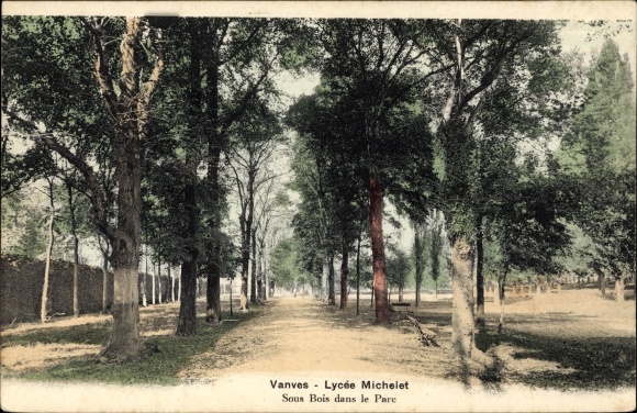 Postcard Vanves Hauts de Seine, Lycee Michelet, Undergrowth in the Park