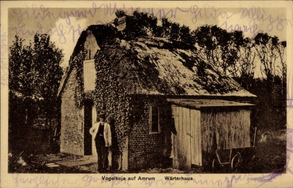 Postcard Fog on the island of Amrum North Frisia, bird hide, keeper's house
