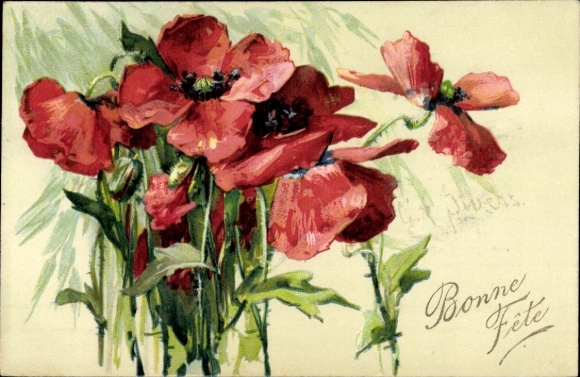 Artist Postcard Klein, Catharina, Poppies