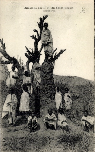 Postcard Missions of the Fathers of the Holy Spirit, Termites