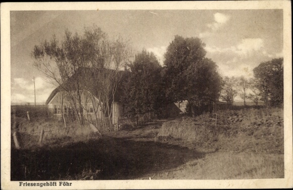 Ak Insel Föhr Nordfriesland, Friesengehöft, ländliche Architektur, Bäume, Weg, weite Landschaft