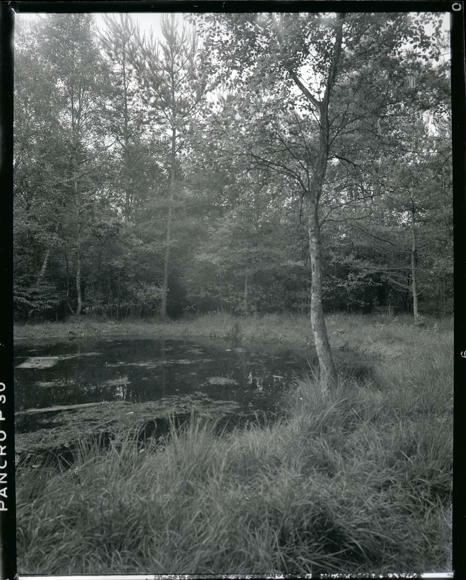 6 celluloid negatives Garlstedt Osterholz Scharmbeck Lower Saxony, meadow, restaurant, pond