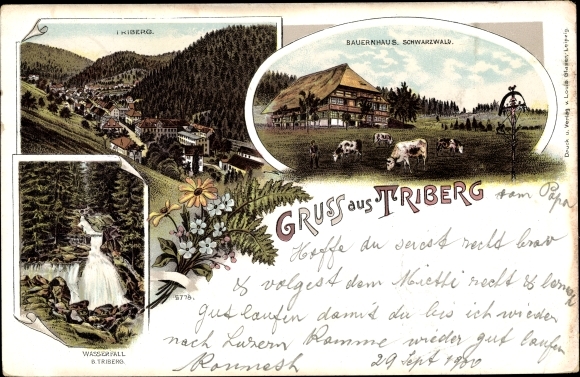Chromo-Litho Triberg in the Black Forest, general view, waterfall, Black Forest farmhouse, cows