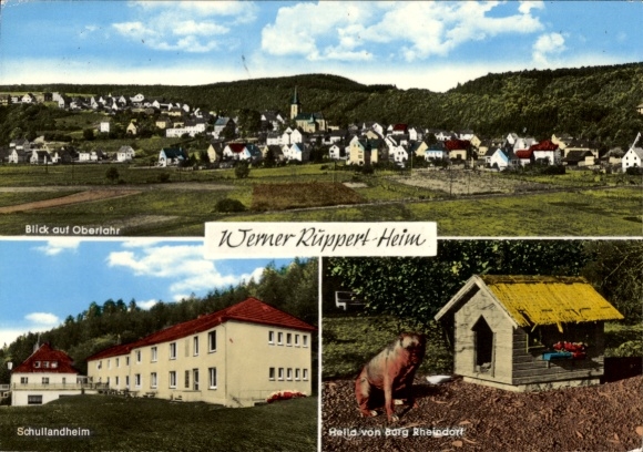Ak Oberlahr an der Wied Westerwald, algemeen beeld, Werner Ruppert-Heim, schoolkamp, hond