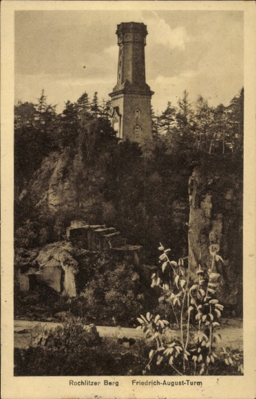 Ak Rochlitz an der Mulde, Rochlitzer Berg, Friedrich August Turm, Friedrich-August-Turm, Wald, Au