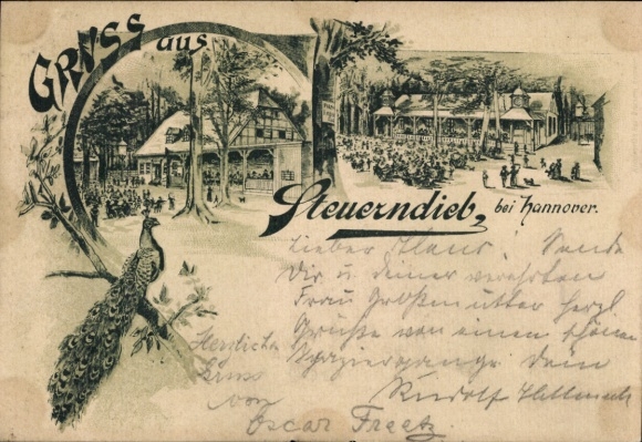 Chromo-Litho Groß Buchholz Hanover in Lower Saxony, restaurant Steuerdieb, Pfau