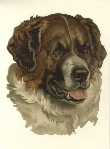 Wafer head of a St. Bernard, size approx. 23.5 x 18.5 cm