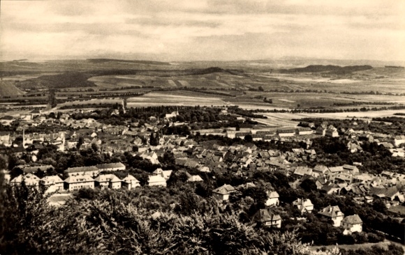 Ak Bleicherode am Harz, Schöne Landschaft mit Ort, Bergsicht, vielen Häusern, weite Felder