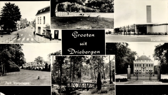 Postcard Driebergen Utrecht Netherlands, train station, park, street