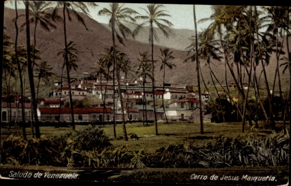 Postcard Venezuela, Cerro de Jesus Maiquetia, palm tree
