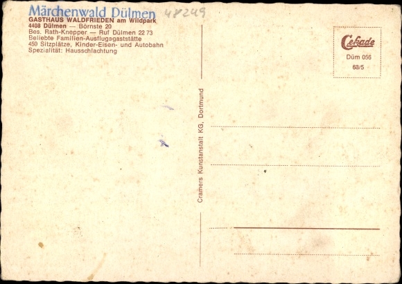Postcard Dülmen in Münsterland, Haus Waldfrieden, wild horses in the Merfelder Bruch