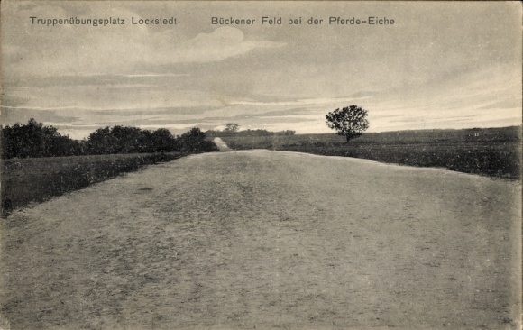 Ak Lockstedt in Holstein, Lockstedter Lager, Truppenübungsplatz, Bückener Feld, Pferde-Eiche