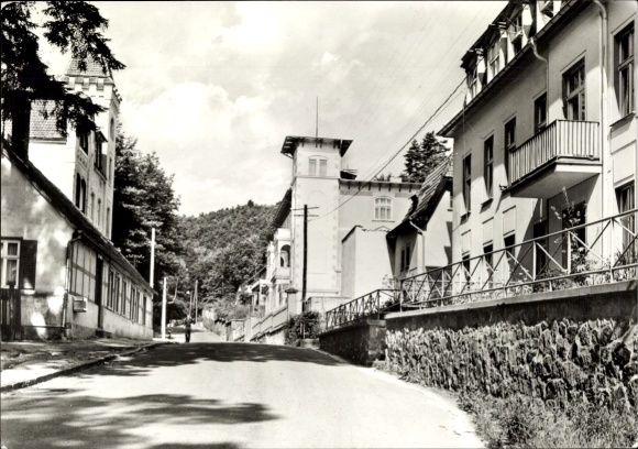 Postcard Bad Freienwalde on the Oder, street with houses, trees, clouds, black and white picture