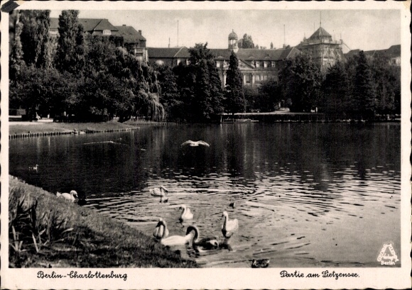 Postcard Berlin Charlottenburg, Swans on the Lietzensee