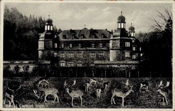 Ansichtkaart Crottorf Friesenhagen Rijnland-Palts, kasteel, hert
