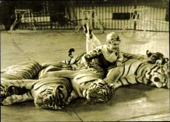 Postcard Animal Tamer Margarita Nazarova, Dompteurin, Tiger