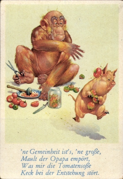 Collector's picture funny pictures No. 42, orangutan and pig cooking tomato sauce