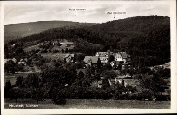 Ak Neustadt im Harz Harztor Thüringen, Ruine Hohnstein, Haus Lebenswende