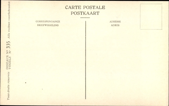 Artist Postcard Dupond, Hub., Gobe mouches nain, Kleine Vliegenvanger, Nr 335