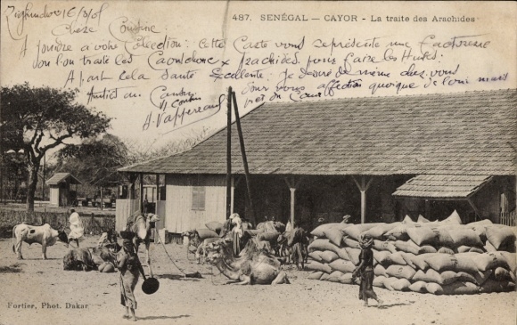 Ak Cayor Senegal Afrique, La traite des Arachides, Blick auf Erdnuss Handel