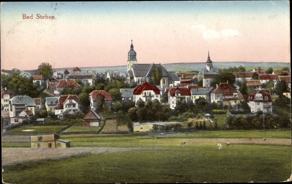 Postcard Bad Steben in Upper Franconia, panorama, general view, cows