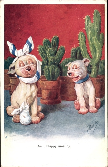 Artist Postcard An unhappy meeting, wounded dog, cacti, humanized animals