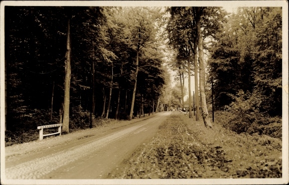 Ak Harsefeld in Nedersaksen, straat in Wieh