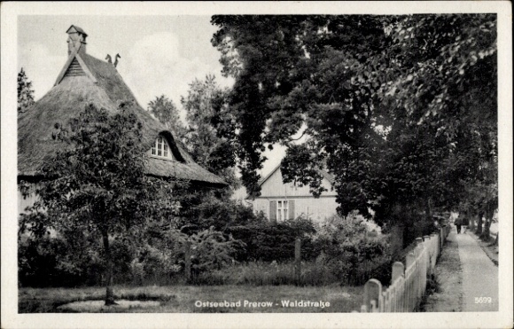 Postcard Ostseebad Prerow on the Darß, Hülsenstraße