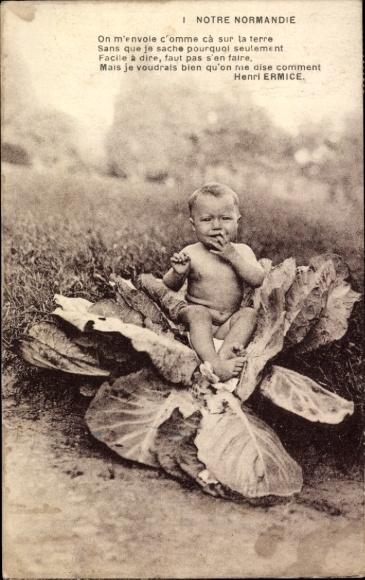 Postcard Baby in Lettuce, Portrait, Normandy, Henri Ermice