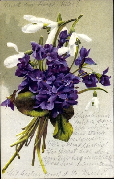 PC Nenke and Ostermaier 526 986, photochromia, violets, snowdrops