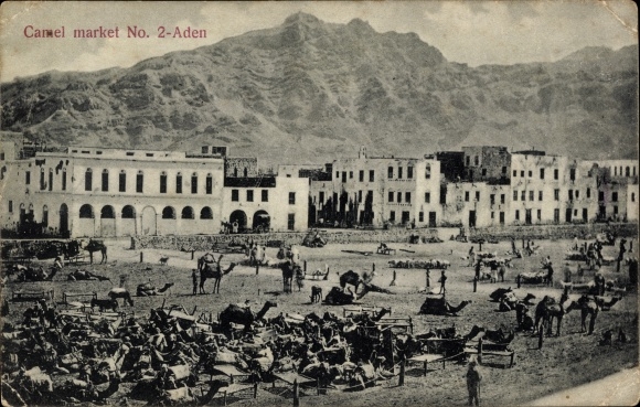 Postcard Aden Yemen, camel market
