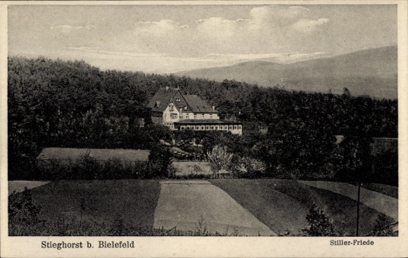 Ak Stieghorst Bielefeld,  Landschaft, Gebäude, Stiller-Friede