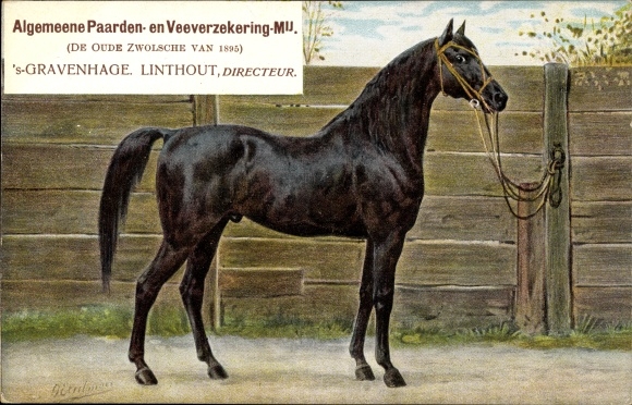 Artist Postcard Eerelman, &#39;The Hague Südholland Niederlande, Algemeene Paarden en Veeverzekering Mij.