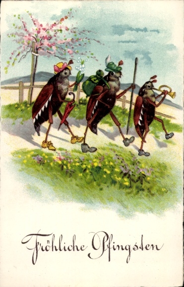 Ak Glückwunsch Pfingsten, Maikäfer
